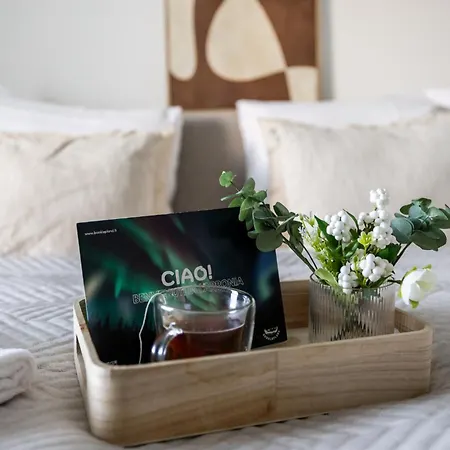 Lejlighed Master Center By Booklapland